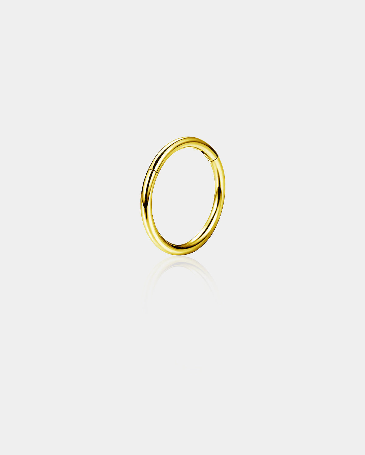 18G Hinged Segment Titanium Nose Hoop