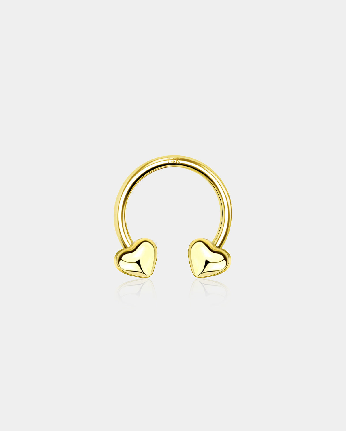 heart horseshoe septum