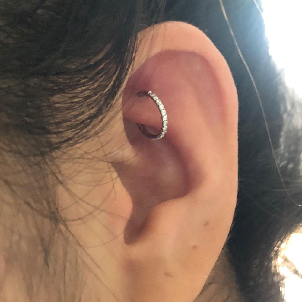 Titanium CZ Hinged Segment Nose Ring