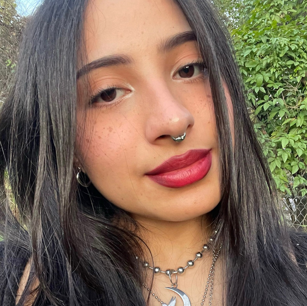 Moon Face Hinged Segment Titanium Septum Ring