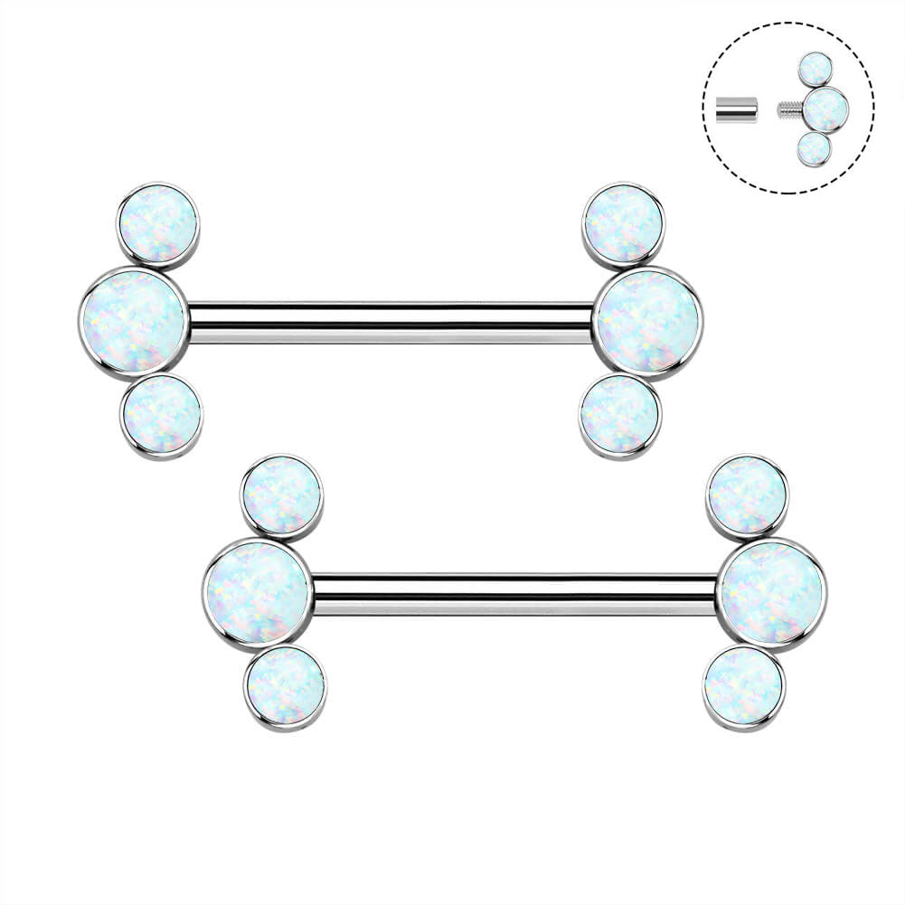 2Pcs Internally Threaded Titanium Nipple Barbell Pair