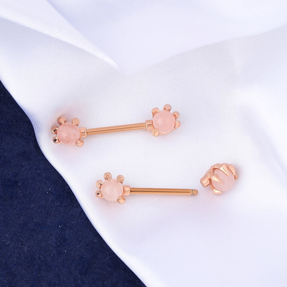 2Pcs Dragon Claws Gemstone Nipple Rings Pack
