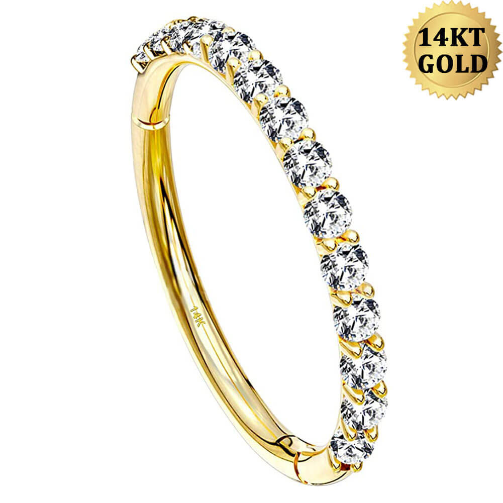 20G 14K Gold CZ Segment Nose Hoop