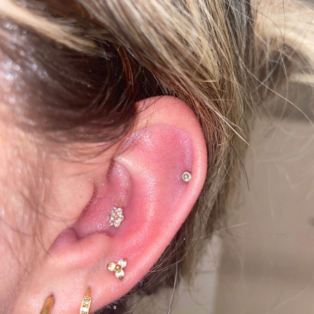 flower conch stud