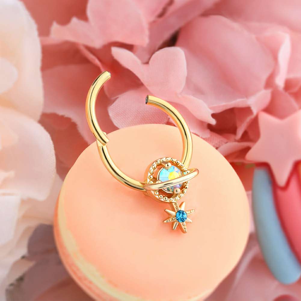 hinged segment septum ring