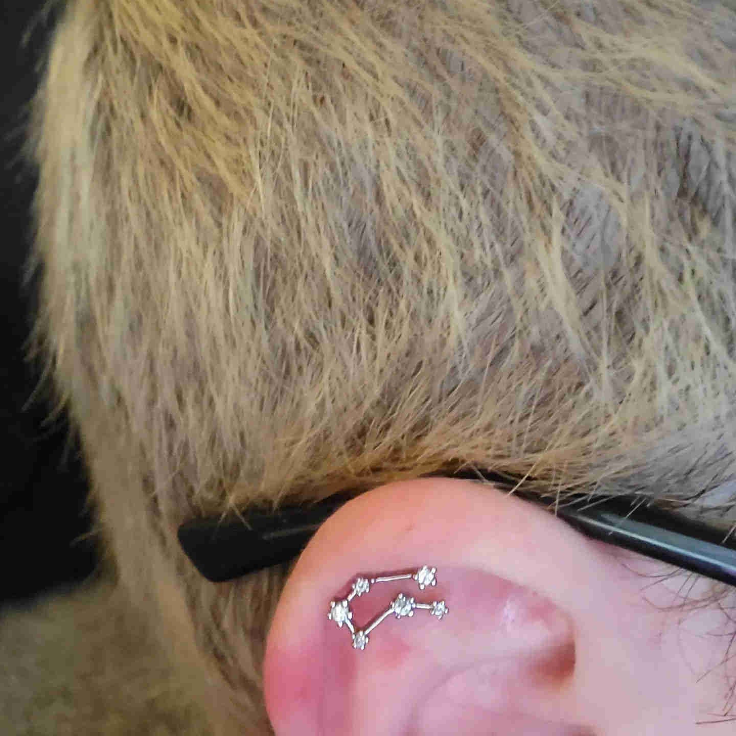Zodiac Star Constellation Cartilage Stud