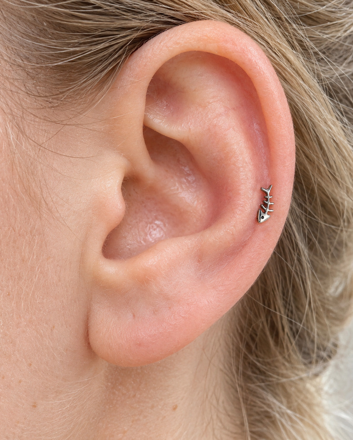 fishbone cartilage piercing