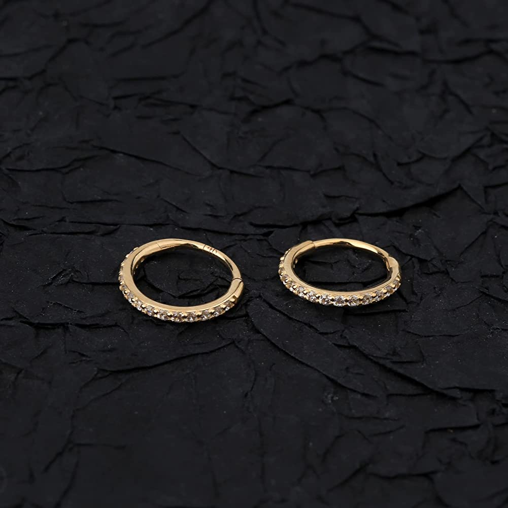 20G 14K Gold CZ Segment Nose Hoop